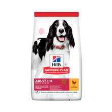 HillÃƒÆ’Ã‚Â¢ÃƒÂ¢Ã¢â‚¬Å¡Ã‚Â¬ÃƒÂ¢Ã¢â‚¬Å¾Ã‚Â¢s Science Plan Medium Adult Dog Food With Chicken (14kg)