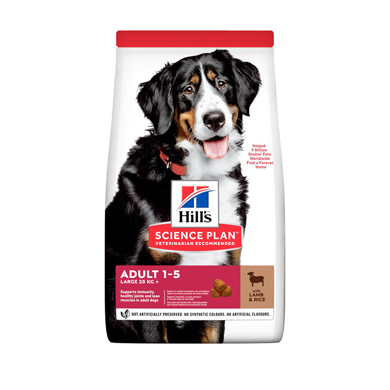 HillÃƒÆ’Ã‚Â¢ÃƒÂ¢Ã¢â‚¬Å¡Ã‚Â¬ÃƒÂ¢Ã¢â‚¬Å¾Ã‚Â¢s Science Plan Large Breed Adult Dog Food With Lamb&Rice (14kg)