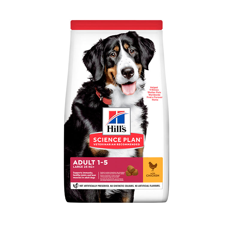 HillÃƒÆ’Ã‚Â¢ÃƒÂ¢Ã¢â‚¬Å¡Ã‚Â¬ÃƒÂ¢Ã¢â‚¬Å¾Ã‚Â¢s Science Plan Large Breed Adult Dog Food With Chicken (14kg)