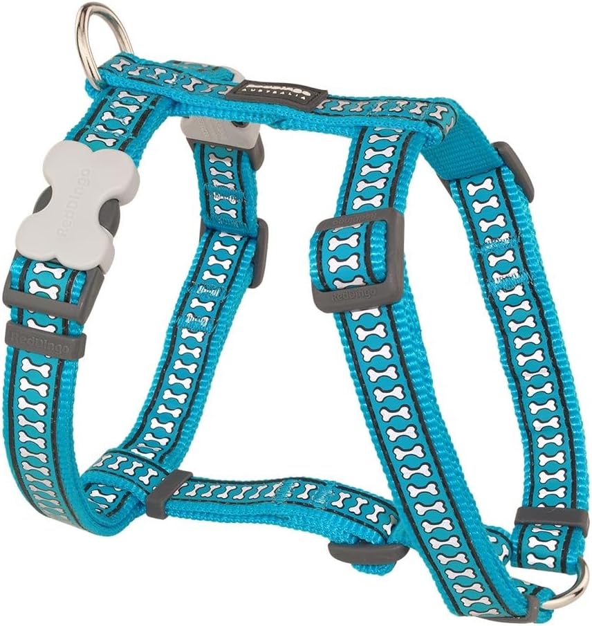 RD Dog Harness Reflective Turquoise 15mm