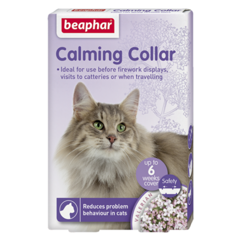 Cat Collars & Harnesses