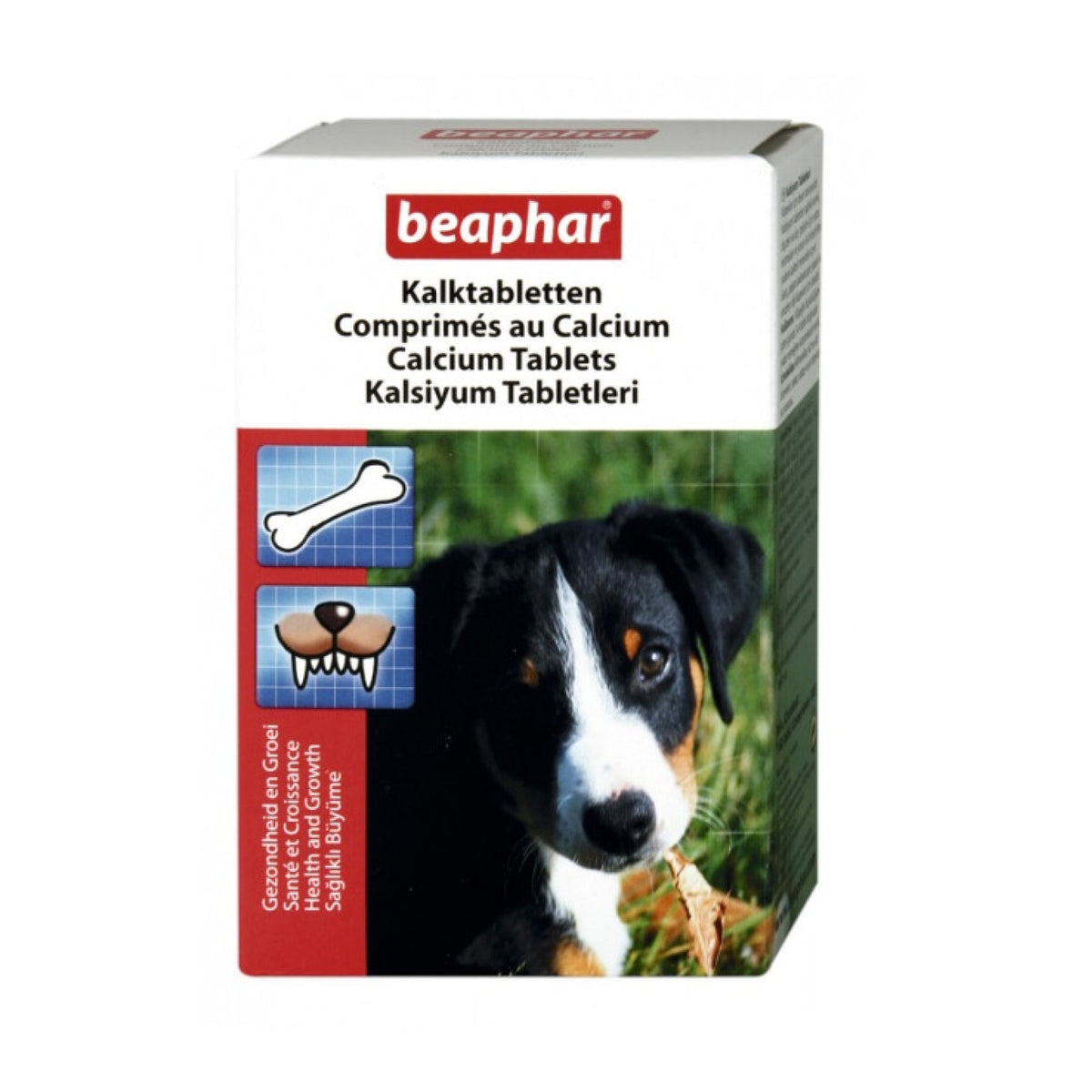 Calcium Tablets, 180 Tabs