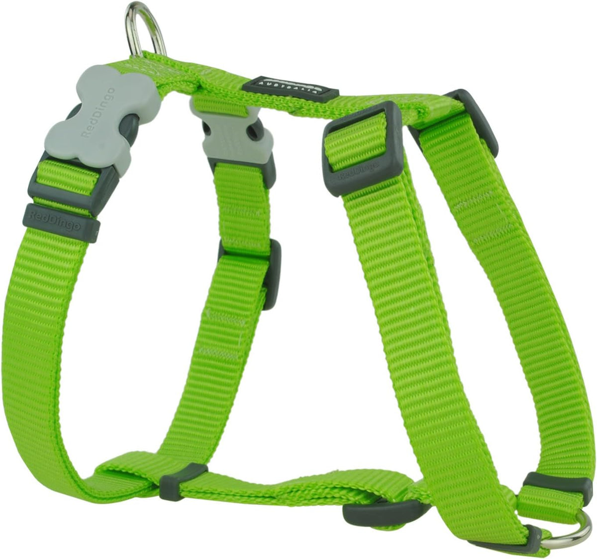 RD Dog Harnes Daisy Chain Lime Green 20mm