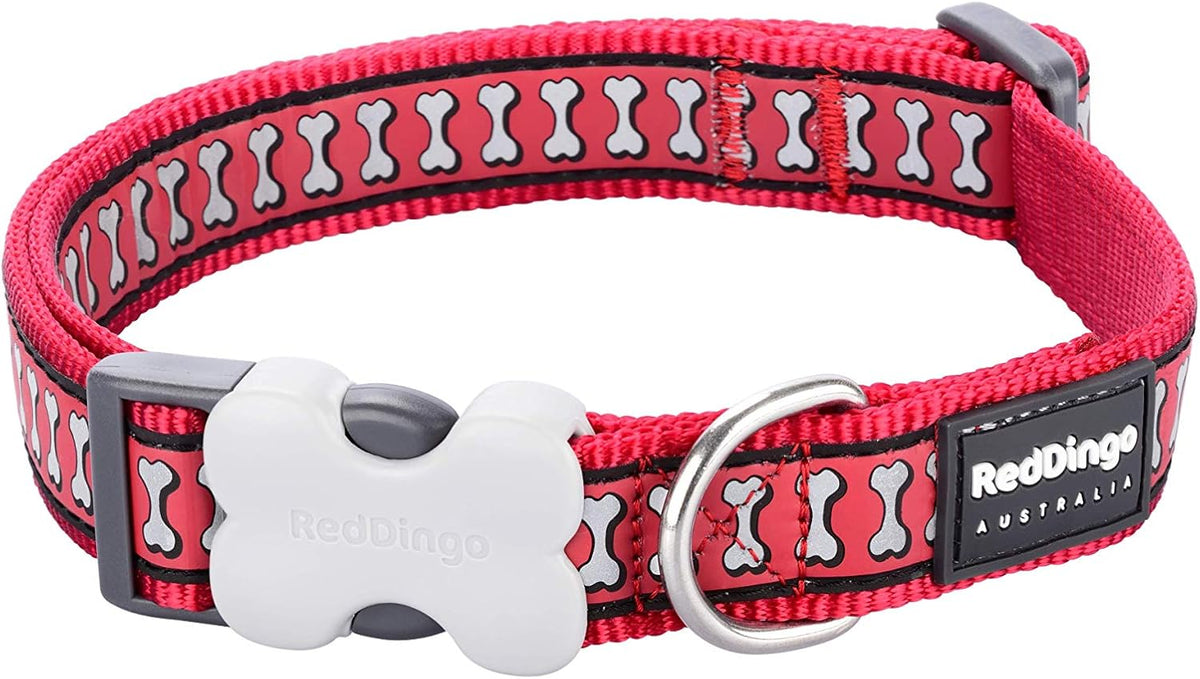 Red Dingo Red Bone Print Reflective Dog Collar (24-36x1.5cm)