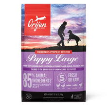 Orijen Large Breed Puppy Dry Food - 6KG