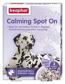 Calming Spot on Dog