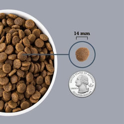 Acana Light and Fit Recipe Dry Dog Food - 6KG