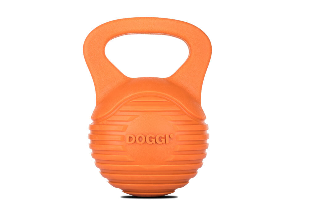 Doggi Small Dumbell Dog Toy