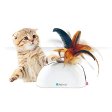 Feather Hider w/ Natural Feather Sound Module &amp; Motion Sensor