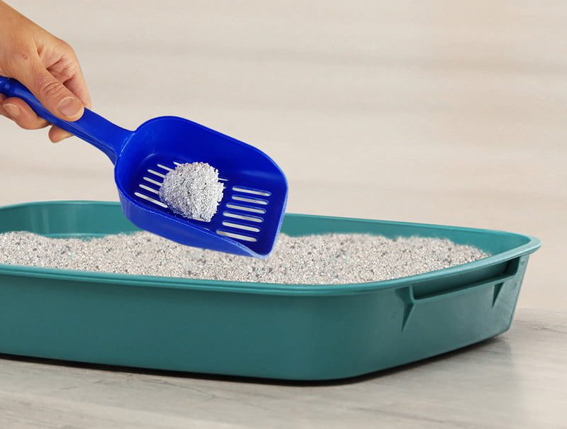 Kiki Kat White Bentonite Clumping Cat Litter –Cleany-10 L