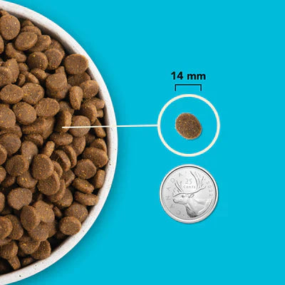 Acana Highest Protein Pacifica Recipe Dry Dog Food - 2KG