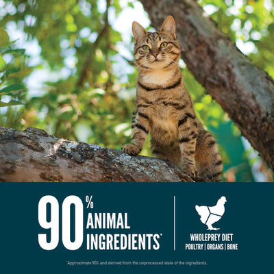 Orijen Guardian 8 Dry Cat Food - 340G