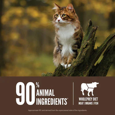 Orijen Regional Red Dry Cat Food - 340G