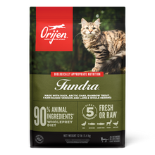Orijen Tundra Dry Cat Food - 340G
