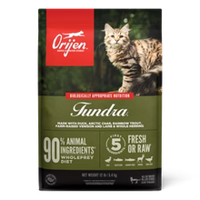 Orijen Tundra Dry Cat Food - 340G