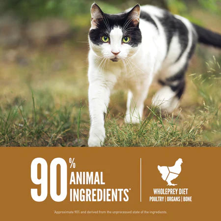 Orijen Original Adult Dry Cat Food - 340G