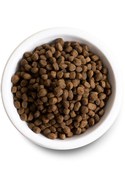 Open Farm Grain Free Catch of the Season Whitefish Dry Dog Food - 4.98KG