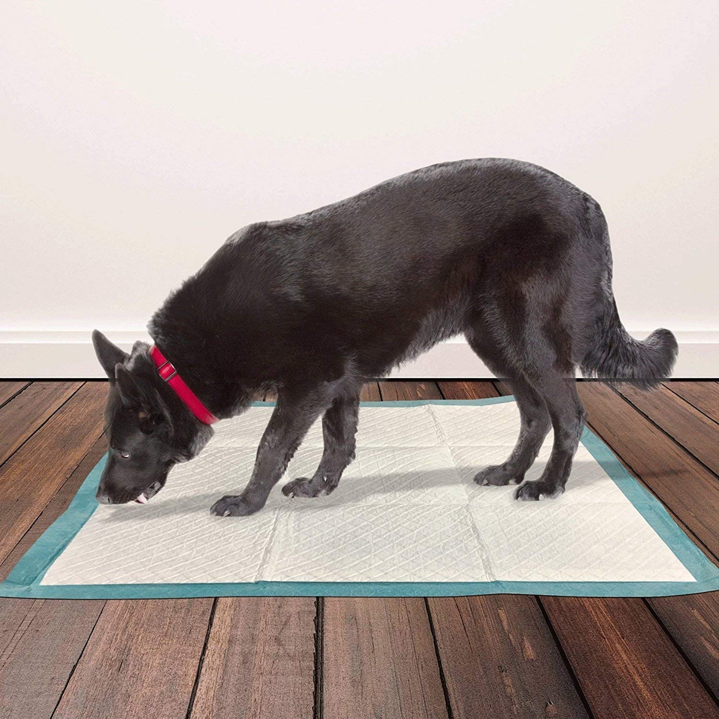 Puppy Training Pads XL - 10