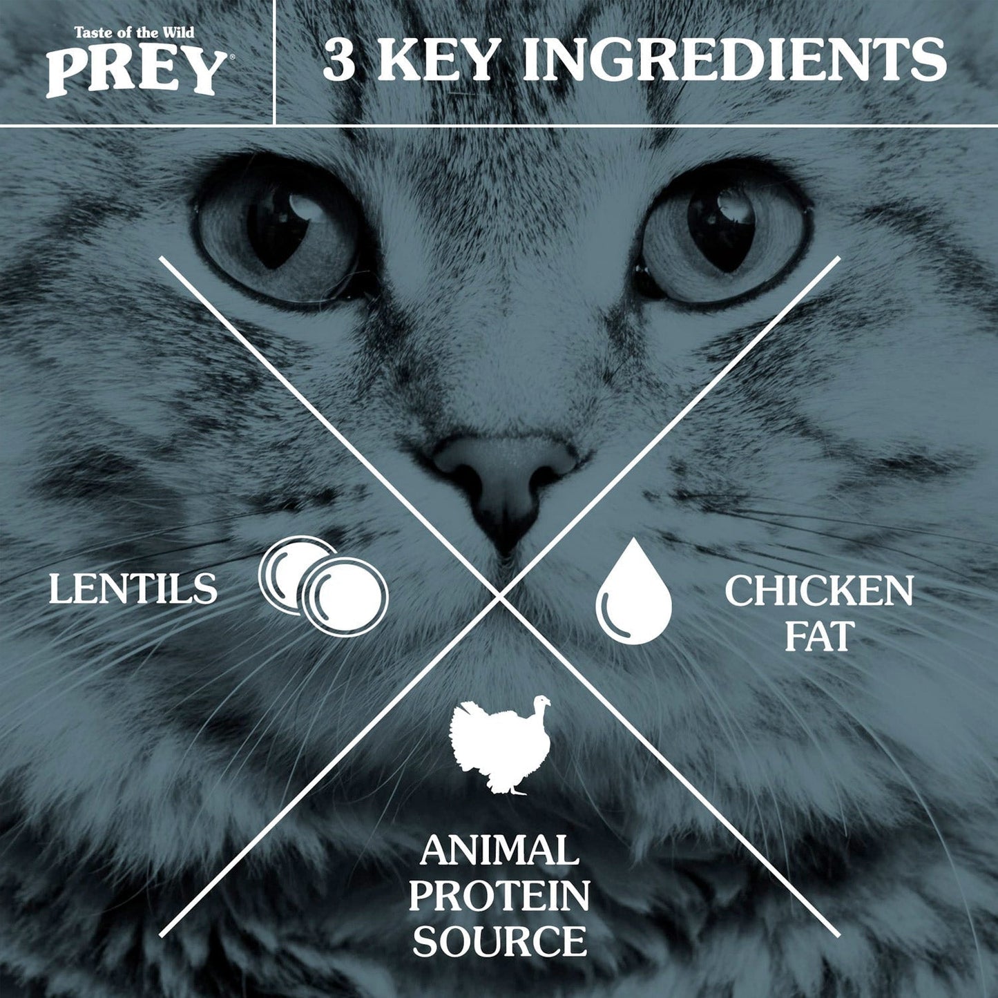 PREY Turkey Limited Ingredient Formula for Cats - 2.7Kg