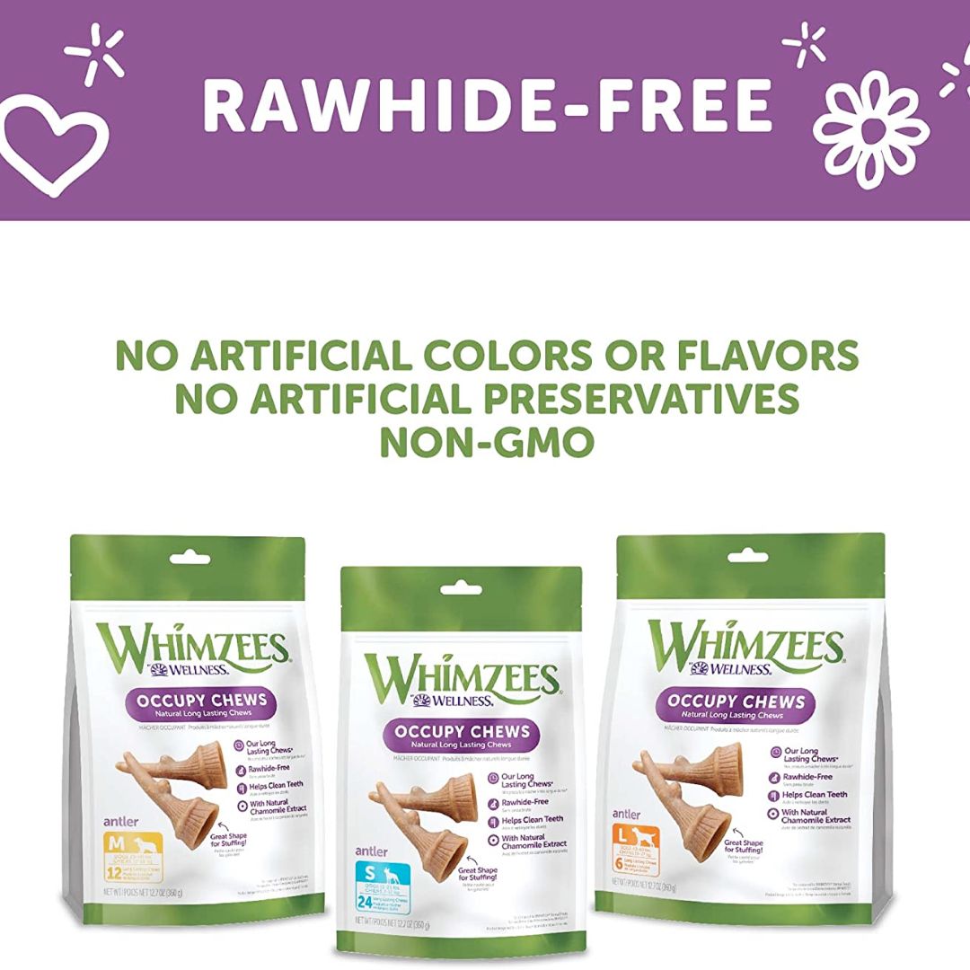 WHIMZEES Occupy Antler Natural Dental Chews for Dogs - Large (6pc)