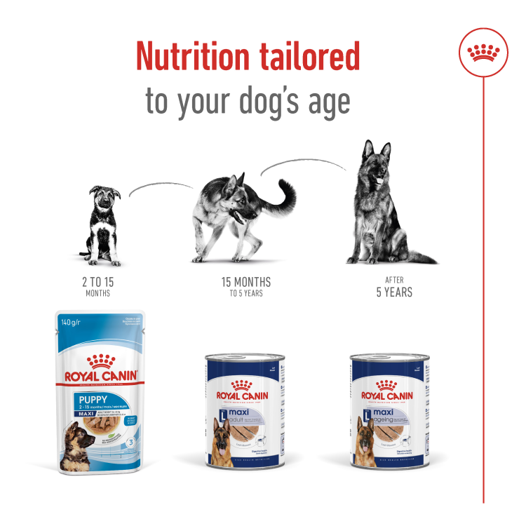 Royal Canin Size Health Nutrition Maxi Adult (Wet Food - Can) 12 x 410 g