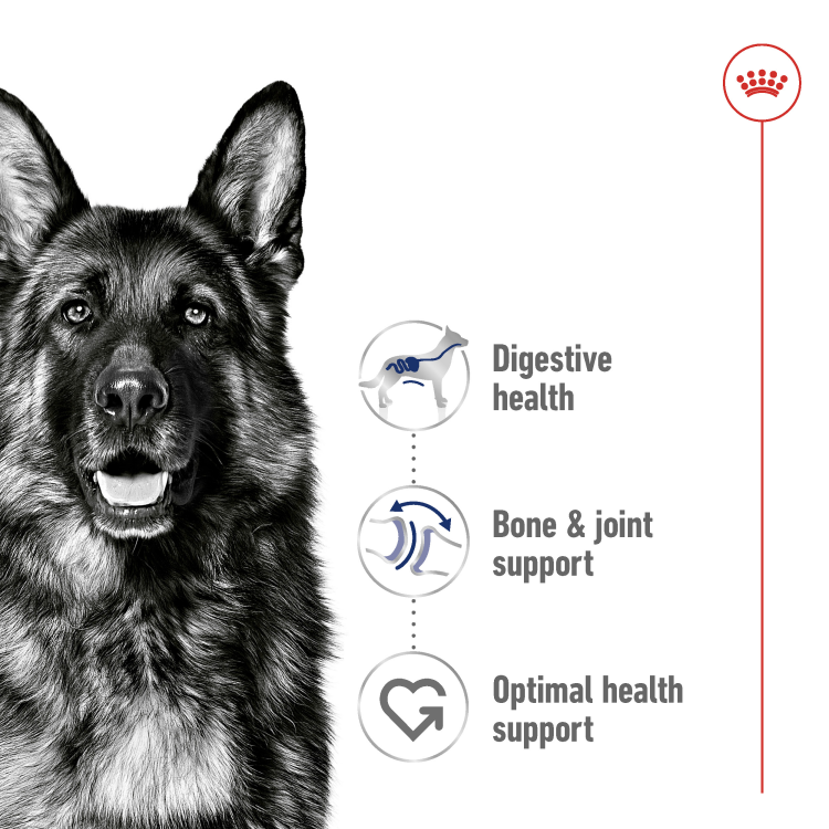 Royal Canin Size Health Nutrition Maxi Adult (Wet Food - Can) 12 x 410 g