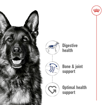 Royal Canin Size Health Nutrition Maxi Adult (Wet Food - Can) 12 x 410 g