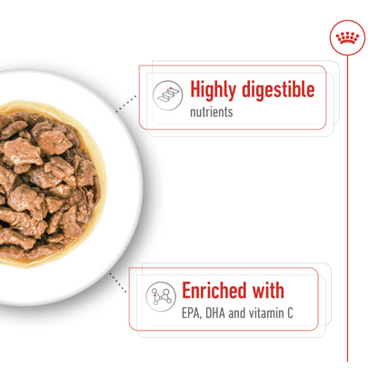 Royal Canin Size Health Nutrition XS Adult (Wet Food - Pouches) 12 x 85 g