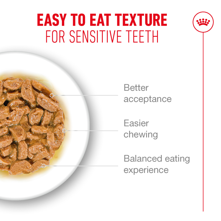Royal Canin Feline Health Nutrition Ageing 11+ Jelly (Wet Food - Pouches) 12 x 85 g