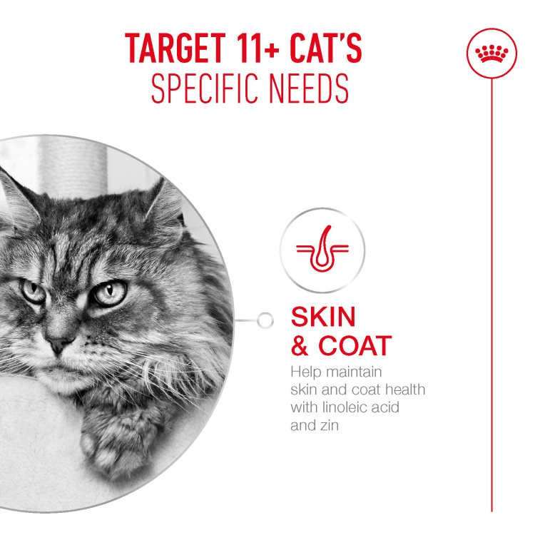 Royal Canin Feline Health Nutrition Ageing 11+ Jelly (Wet Food - Pouches) 12 x 85 g