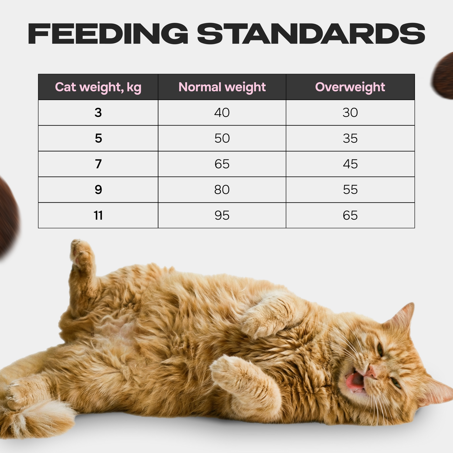 Cosmocat Dry Food Duck Regular Sterilised 3.8 KG