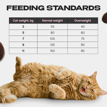 Cosmocat Dry Food Duck Regular Adult 3.8 KG