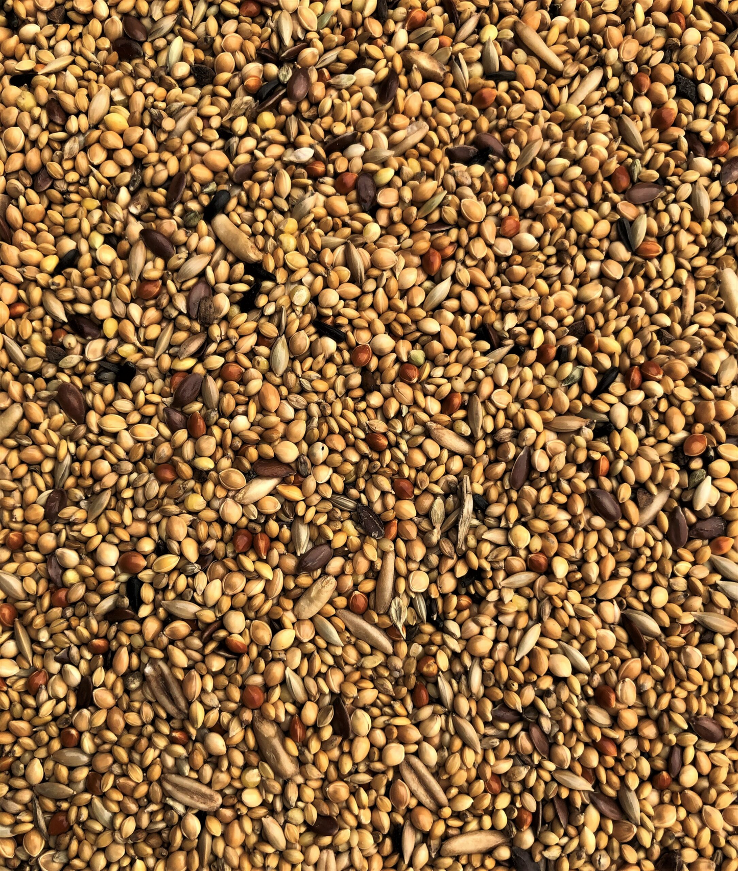 Exotic Mix 20 kg