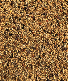 Exotic Mix 20 kg