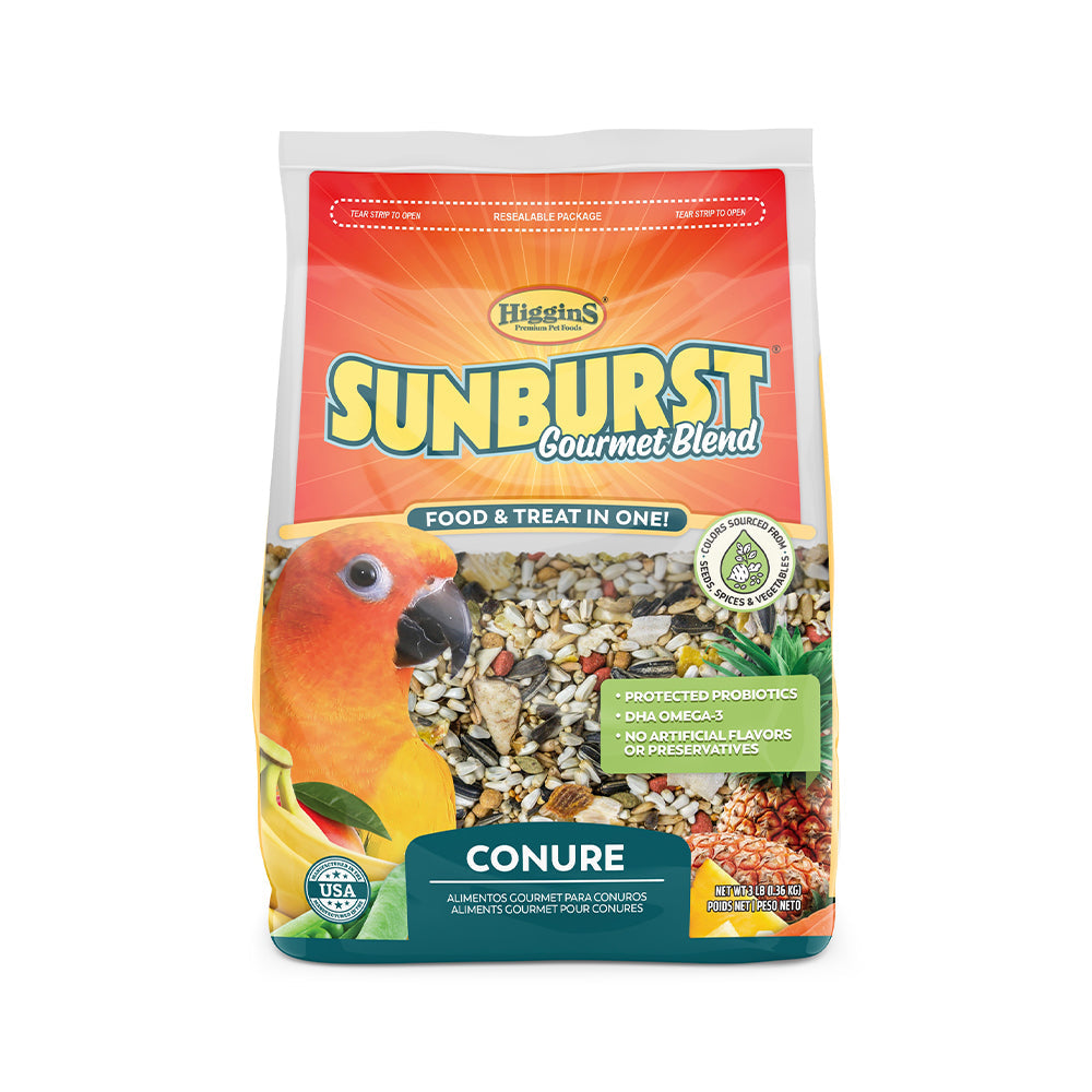 Higgins Sunburst Conure 3Lbs