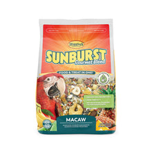 Higgins Sunburst Macaw 3 Lbs