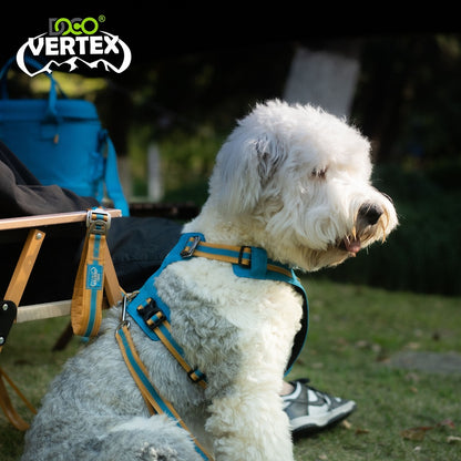 DOCO® VERTEX Reflective Ultralight Mesh Harness X.Large [Neck 58-69cm;Chest 72]-Salt Lake