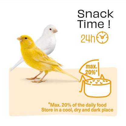 Witte Molen Puur Sticks With Apple & Carrot For Canary - [Weight - 60g]