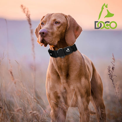 DOCO Signature Nylon Collar [Color - Grey, Size - XL]