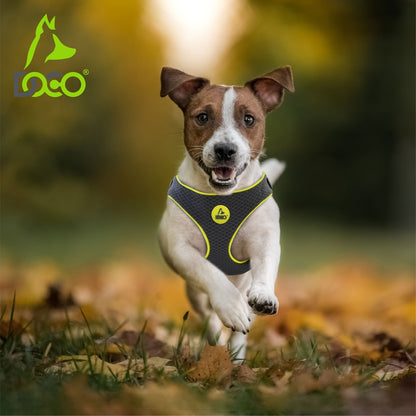 DOCO Reflective Chest Plate Mesh Free- Walking Harness Medium-54 x 60-70cm-Turquoise