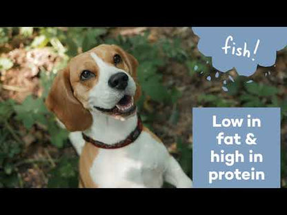 Duvo Dog Snack 80g[Flavor - Lamb & Rice]
