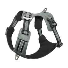 DOCOÂ® VERTEX Reflective Ultralight Mesh Harness Large [Neck 48-59cm;Chest 62]-Iceland