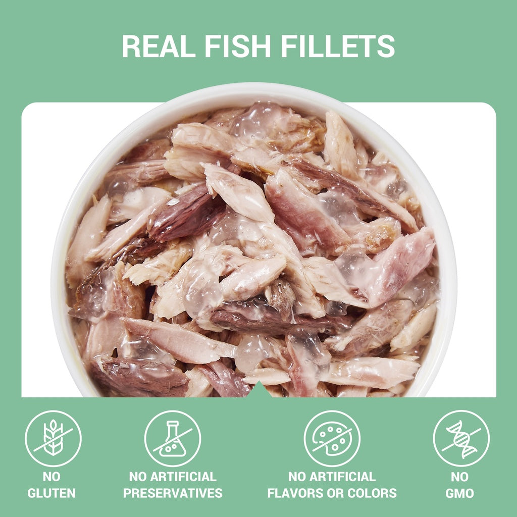 Schesir Complements Cat Wet Food in Jelly Can- Tuna 70g