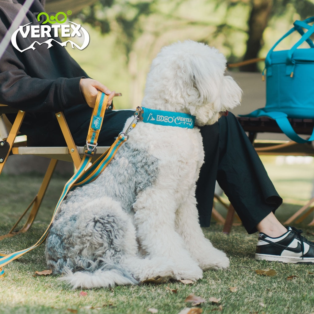 DOCO VERTEX Reflective Ultralight Mesh Collar For Dogs-2.0 x 35-45cm-Salt Lake