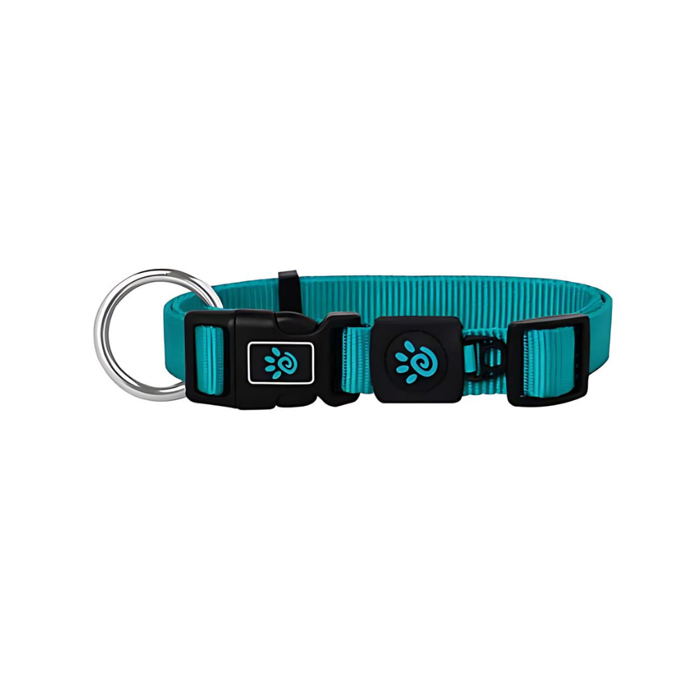 DOCO Signature O- Ring Collar - 1.0 x 21-30cm[Color - Turquoise, Size - XS]