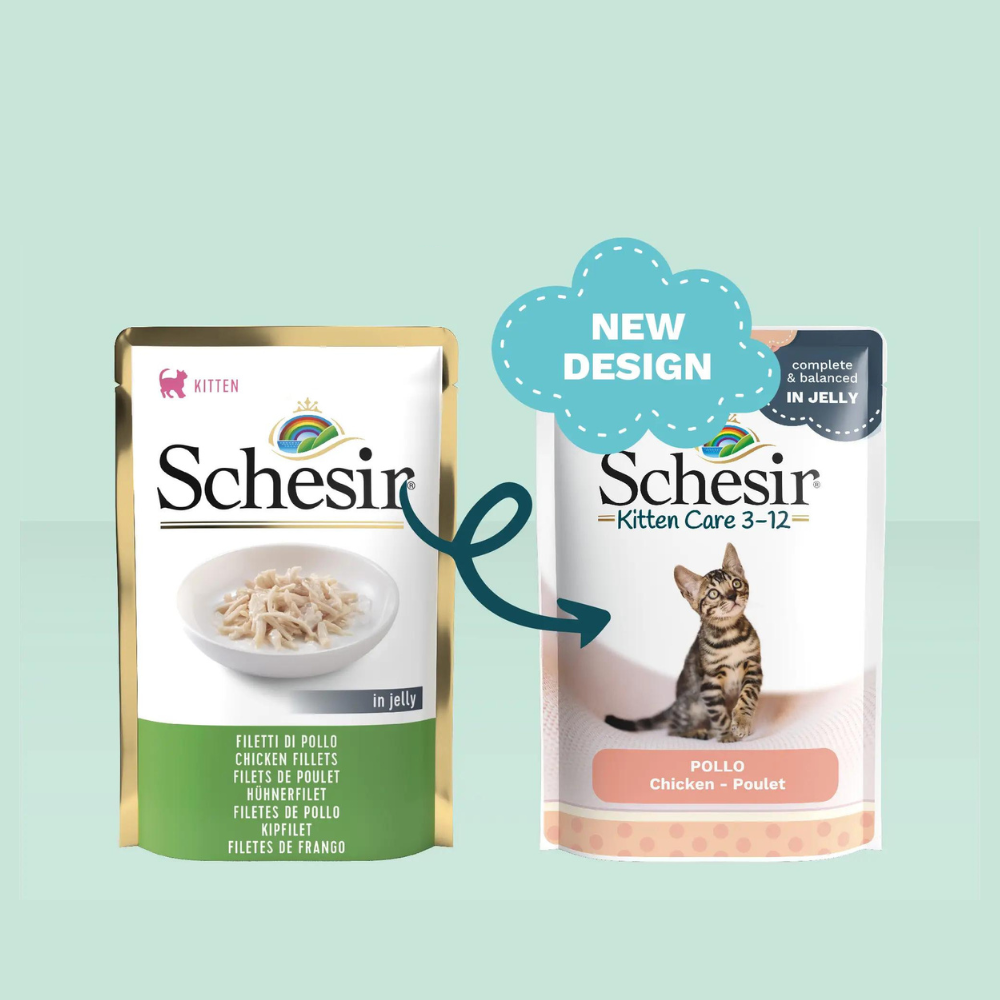 Schesir Kitten Care 3-12 in Jelly Chicken Pouch [Weight - 85g]