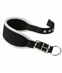 Ferplast Ergocomfort CW15/32 Padded Dog Black Collar, 26-32cm x 15mm[Dimension - 26-32cm x 15mm]