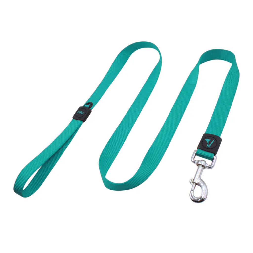 DOCO Signature Nylon Leash - 6ft-1.5 x 180cm (S)-Turquoise