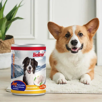 Bioline Canned Dog Food 375g-[Flavor-Chicken Meat]