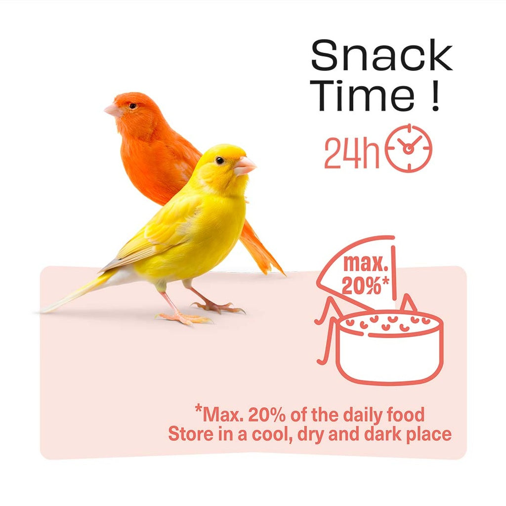 Witte Molen Puur Sticks With Cranberry & Kiwi For Canary - [Weight - 60g]